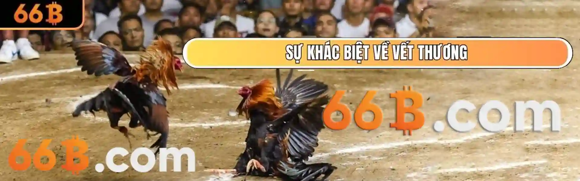 imgi 3 1921911458452852738