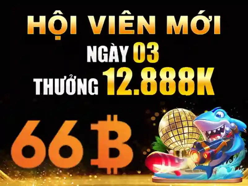 66b nss là gì và vai trò của thẻ 66b nss trong thông tin cược bóng đá 1 Đăng Nhập