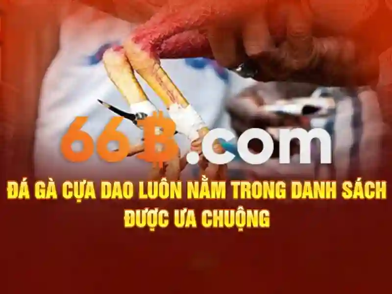 Ứng dụng thực tế và thách thức