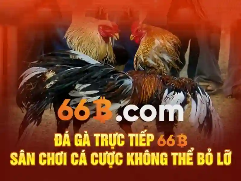sa18-66b-ae – Tổng quan chủ đề và giá trị cốt lõi