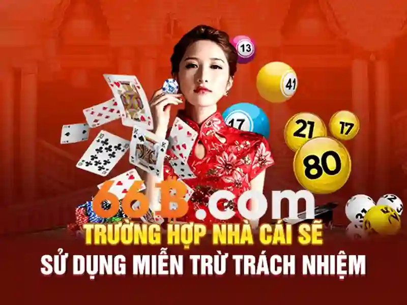 Trải nghiệm người dùng và phản hồi từ cộng đồng
