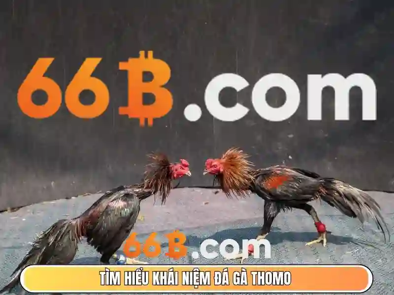 66b: Con số bí ẩn và ý nghĩa trong công nghệ hiện đại Soi kèo hiệp 1