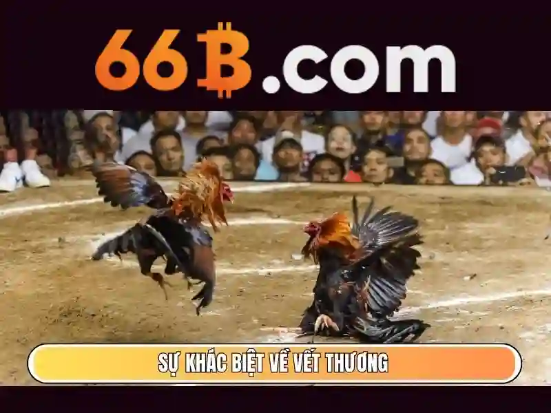 Ứng dụng của 66b