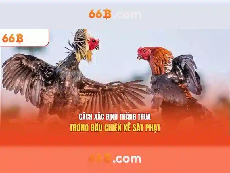 Đăng Nhập