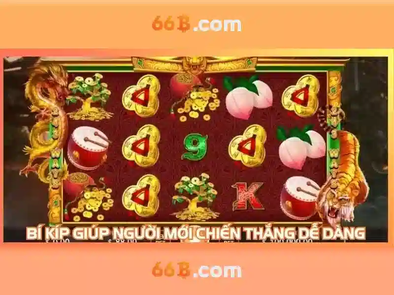 Ví dụ thực tế về 66b