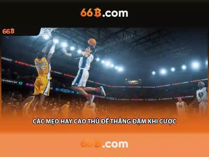 66b: một ký hiệu đầy ý nghĩa Soi kèo hiệp 1