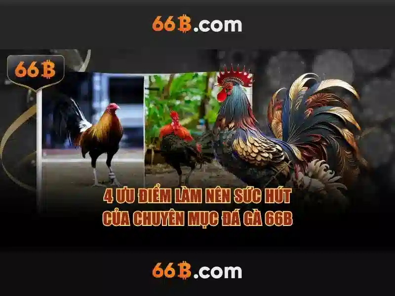 Kiến trúc và đặc điểm