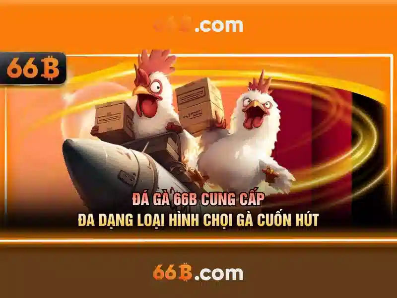 Đặc điểm nổi bật của 66B