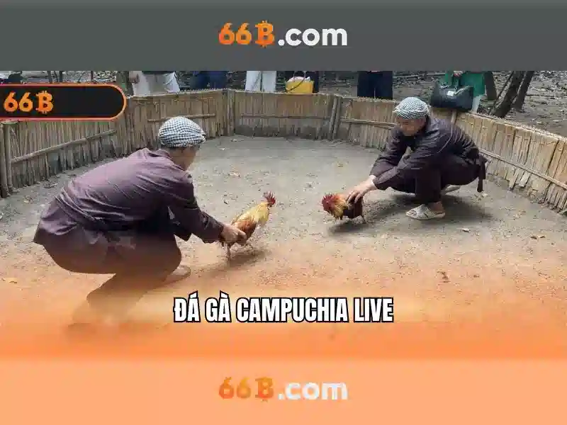 Ứng dụng của 66B