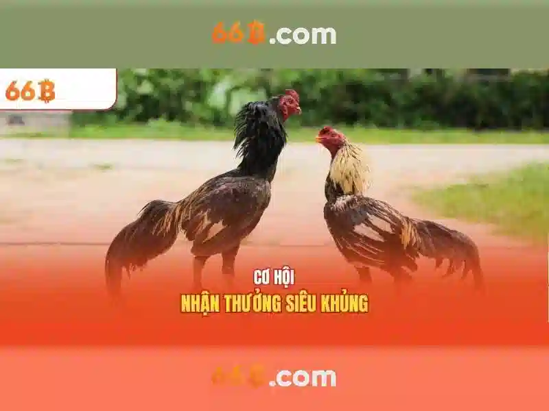 66B là một mô hình ngôn ngữ lớn với 66 tỷ tham số