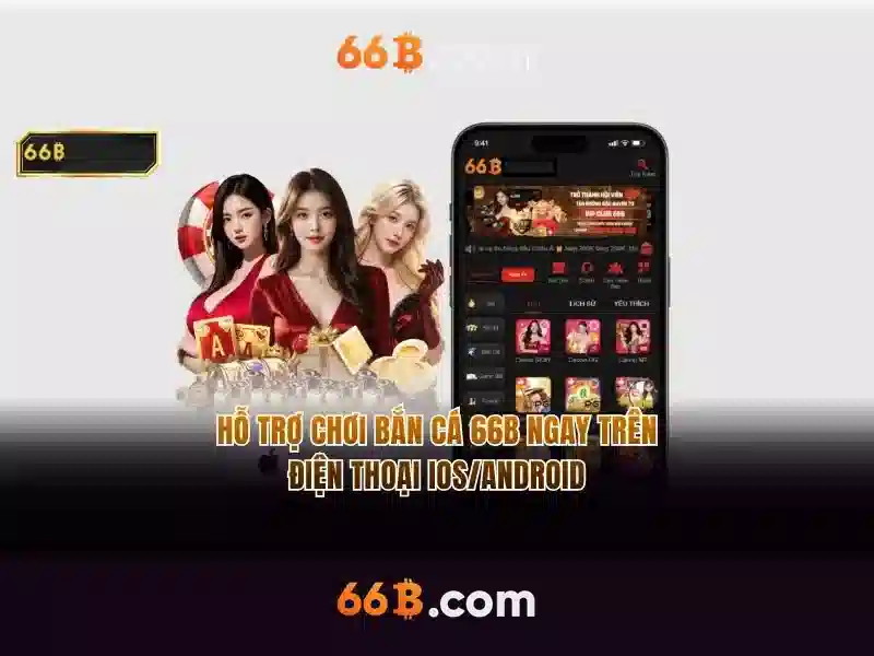 Giới thiệu về 66B