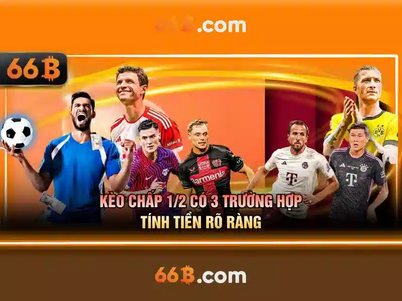 Ứng dụng tiềm năng của 66B