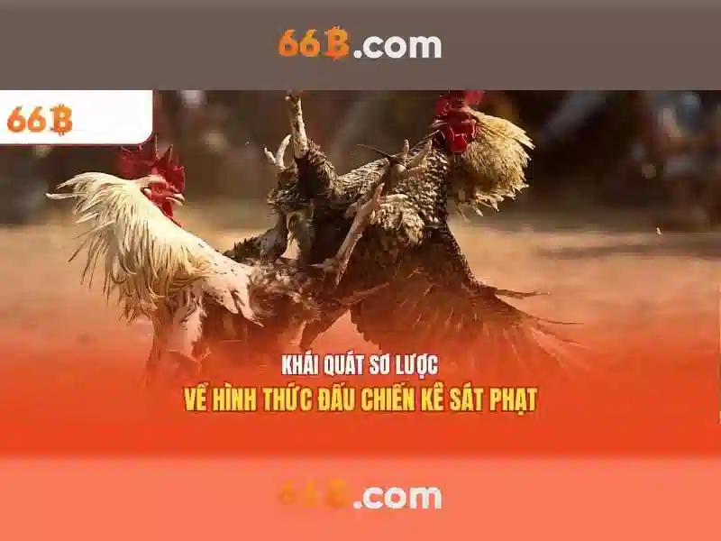 Ứng dụng và hạn chế