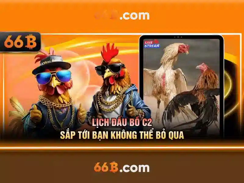 Nguồn gốc của 66B
