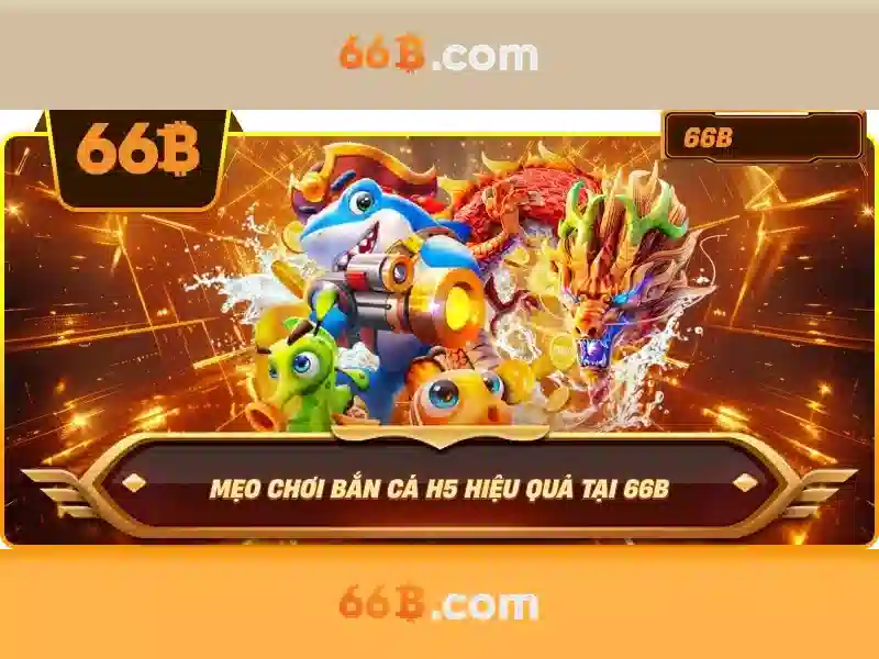 Lược sử của 66B