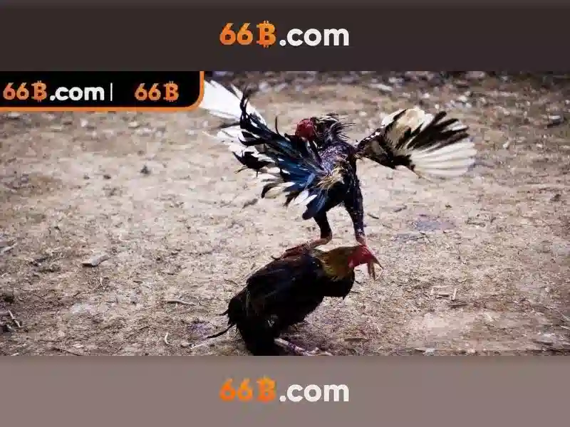 Ứng dụng và thách thức