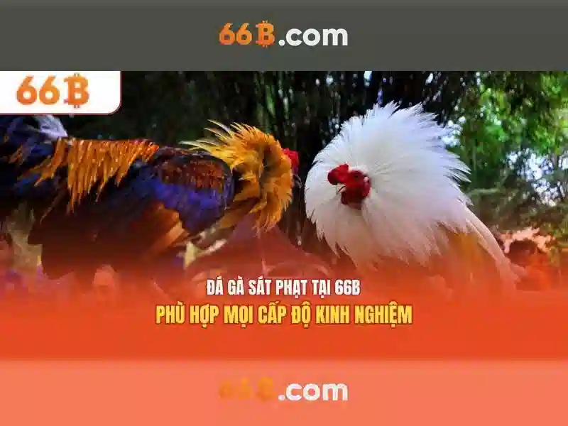 Đăng Nhập