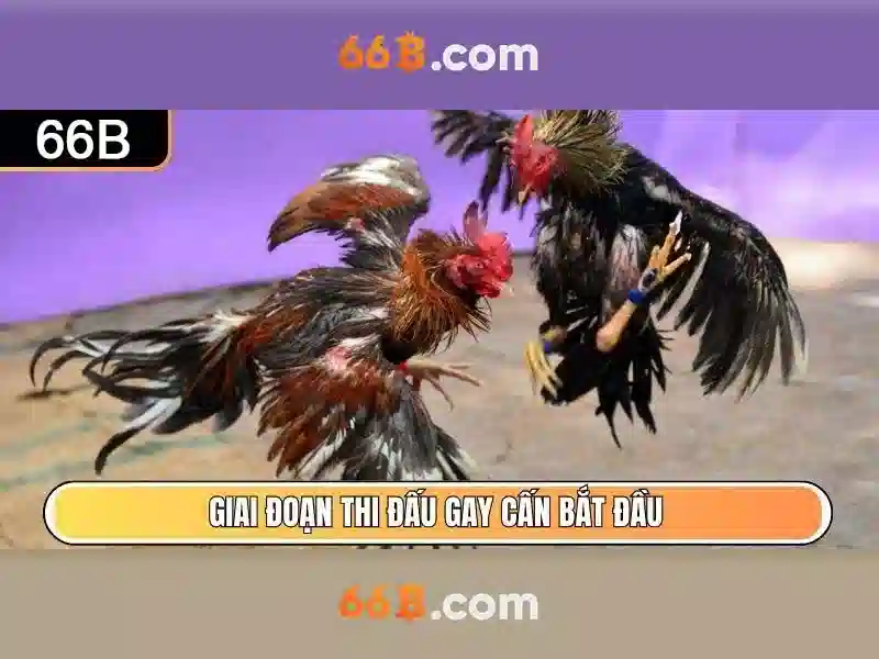 Ứng dụng thực tế và cách diễn giải 66b\n<p>Trong phân tích dữ liệu và thiết kế cơ sở dữ liệu, người ta có thể dùng khái niệm 66b như một ví dụ để thảo luận về thuật toán nén, mã hoá và tối ưu hoá truy vấn. Mặc dù 66b không phải một chuẩn chuẩn hoá, nó cung cấp một khung tham chiếu để hình dung kích thước dữ liệu và ảnh hưởng của nó tới hiệu quả hệ thống.</p>