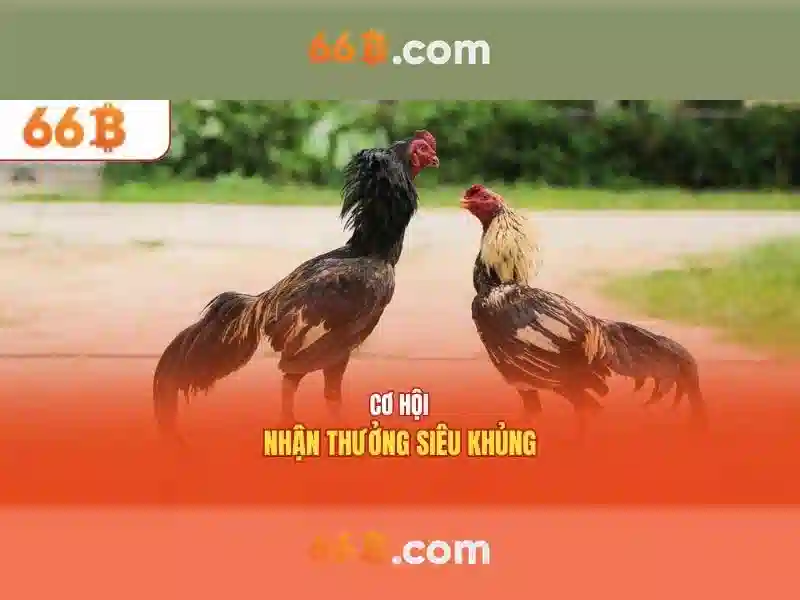 Đặc điểm chính của 66B
