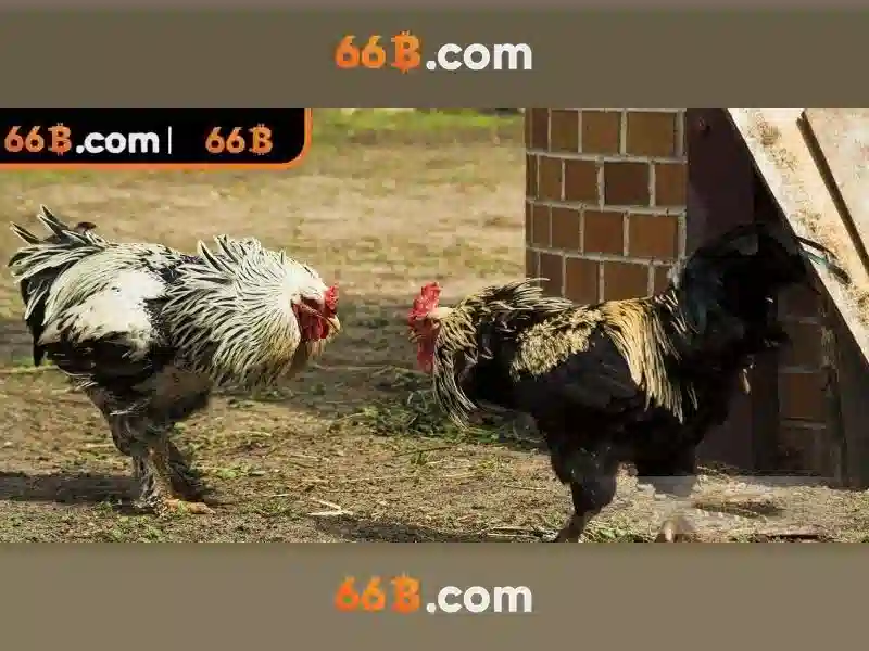 Tổng quan chủ đề và giá trị cốt lõi