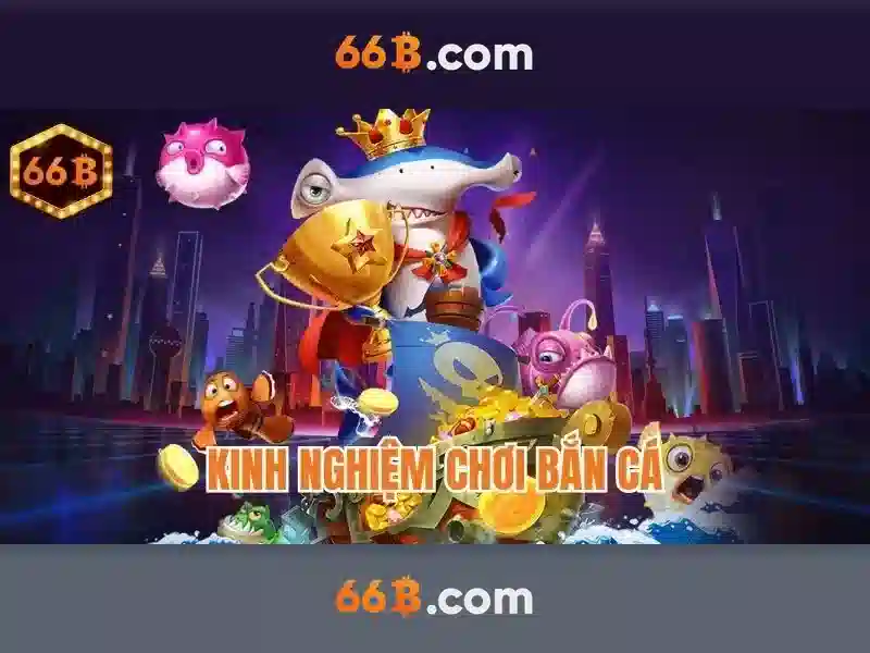 66b — một ký hiệu mang nhiều tầng ý nghĩa