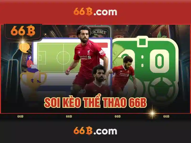Ứng dụng thực tế của 66B Ứng dụng thực tế của 66B