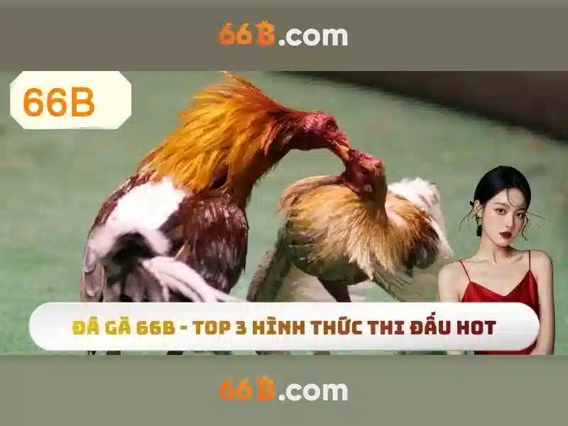Hiệu suất và ứng dụng\n\n<h>Vấn đề an toàn và thách thức</h>\n<p>Những thách thức bao gồm việc giảm rủi ro sai lệch, kiểm soát nội dung độc hại, và tối ưu hóa chi phí triển khai. Cần có cơ chế giám sát, đánh giá đạo đức và phương pháp kiểm tra chất lượng hiệu quả.</p>\n\n<h>Kết luận và tầm nhìn</h>\n<p>66b đại diện cho xu hướng ngày càng mạnh mẽ của các mô hình ngôn ngữ quy mô lớn. Trong tương lai, sự cân bằng giữa hiệu suất và an toàn, cùng với sự minh bạch trong dữ liệu và huấn luyện, sẽ đóng vai trò then chốt để tận dụng tiềm năng của 66b cho nhiều lĩnh vực khác nhau.</p>