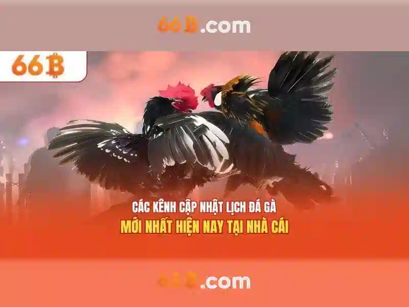 Đăng Nhập