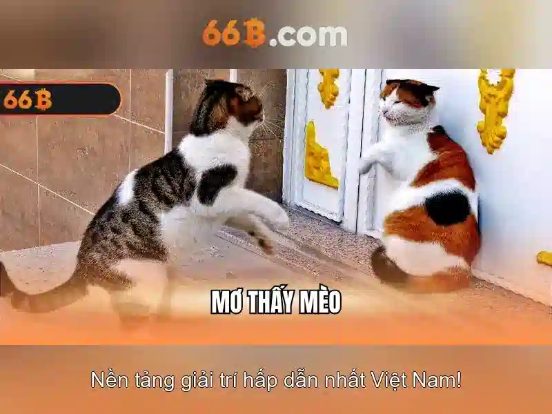 Soi kèo hiệp 1