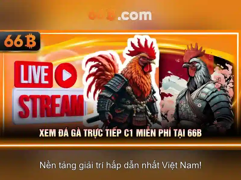 Nguồn gốc và bối cảnh của 66b
