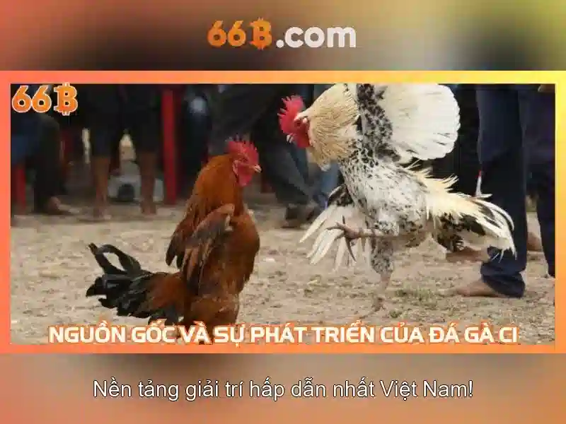 Soi kèo hiệp 1