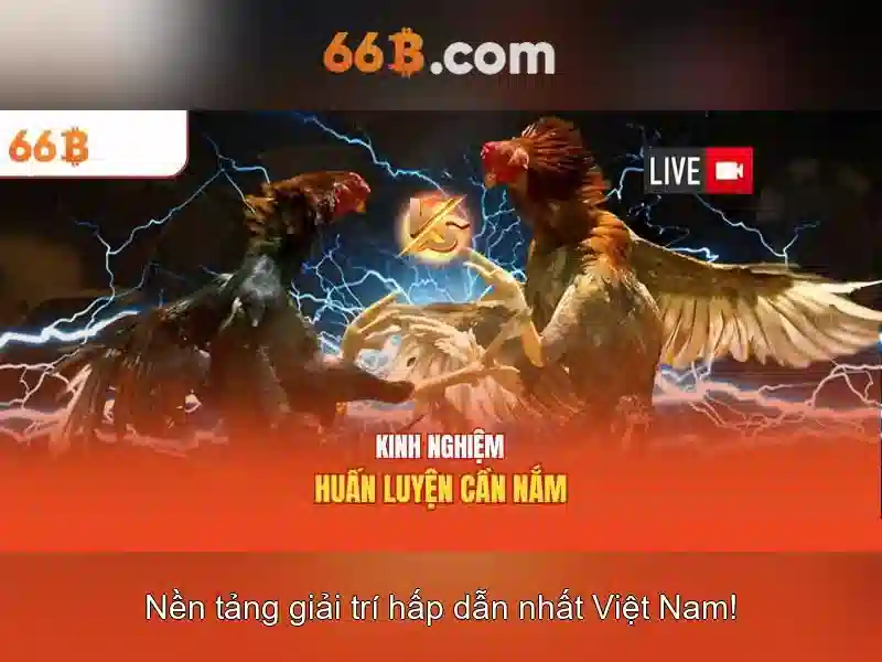 Ứng dụng và thách thức