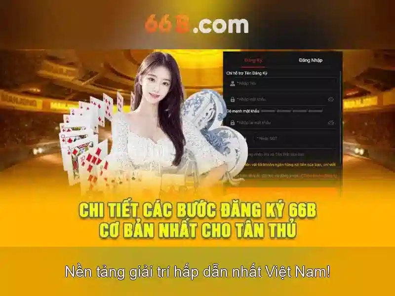 66b la gi?