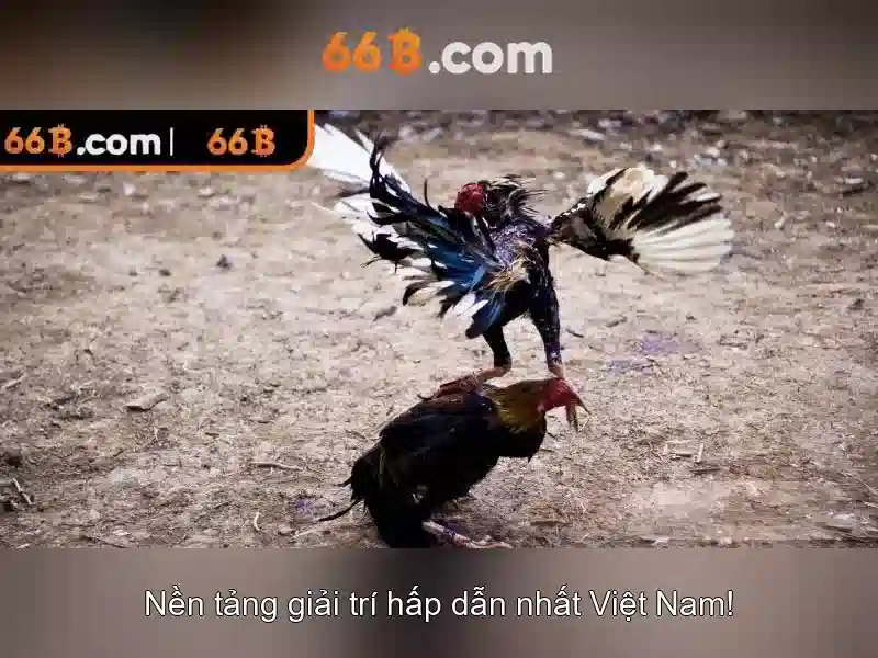 Ví dụ thực tế