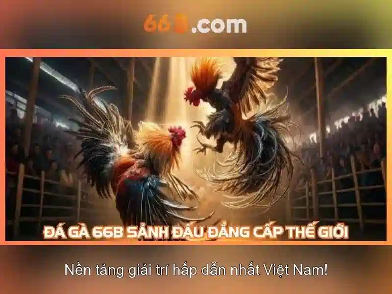 Ứng dụng phổ biến và lợi ích của 66b <h>Những thách thức và cách triển khai 66b</h><p>Những thách thức khi làm việc với 66b bao gồm chi phí huấn luyện cao, yêu cầu phần cứng mạnh mẽ, tiềm ẩn thiên lệch dữ liệu và các cân nhắc về bảo mật cũng như quyền riêng tư. Việc triển khai cần thiết kế kiểm soát chất lượng đầu ra, đánh giá rủi ro và xây dựng khung đạo đức phù hợp.</p>