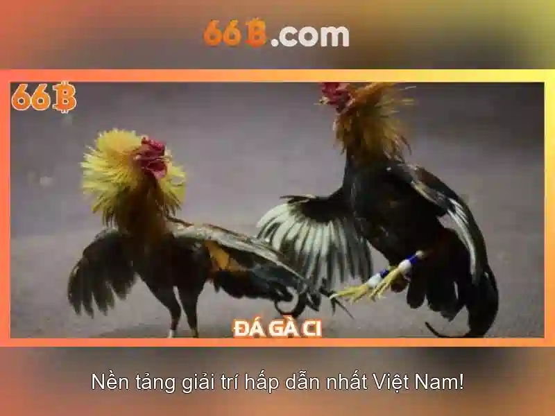 Trải nghiệm người dùng và phản hồi</p>