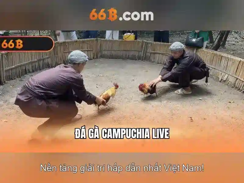 Ứng dụng thực tế của 66B\n<h2>An toàn và thách thức</h2>\n<p>Những thách thức bao gồm nguy cơ sinh thông tin sai lệch, tiềm ẩn thiên vị, và rủi ro nội dung độc hại. Do đó, cần có biện pháp an toàn, kiểm soát nội dung, và đánh giá đạo đức khi triển khai. Việc tinh chỉnh theo ngữ cảnh và giám sát người dùng đóng vai trò quan trọng để đảm bảo kết quả đáng tin cậy.</p>