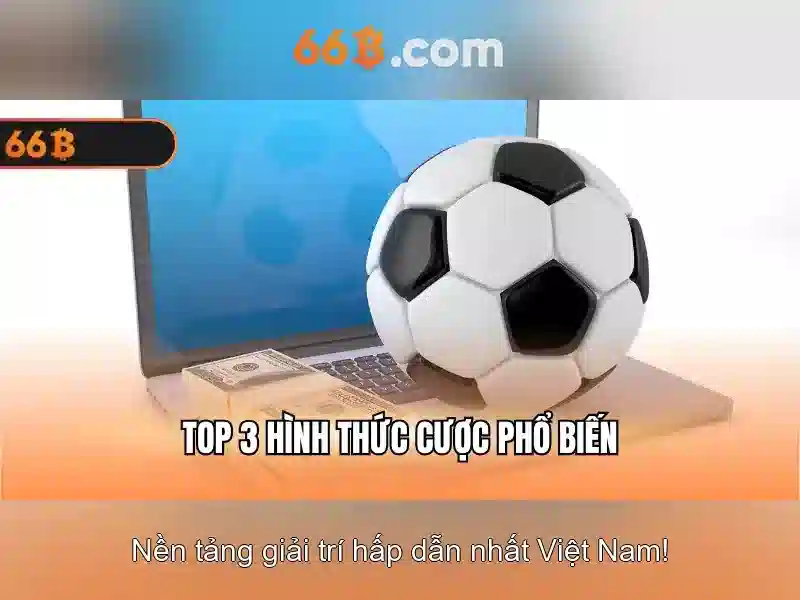 66B là gì?