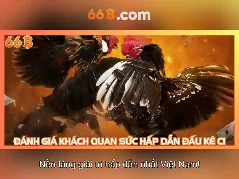 Hiệu suất và ứng dụng của 66B trong AI
