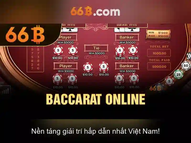 66b là gì