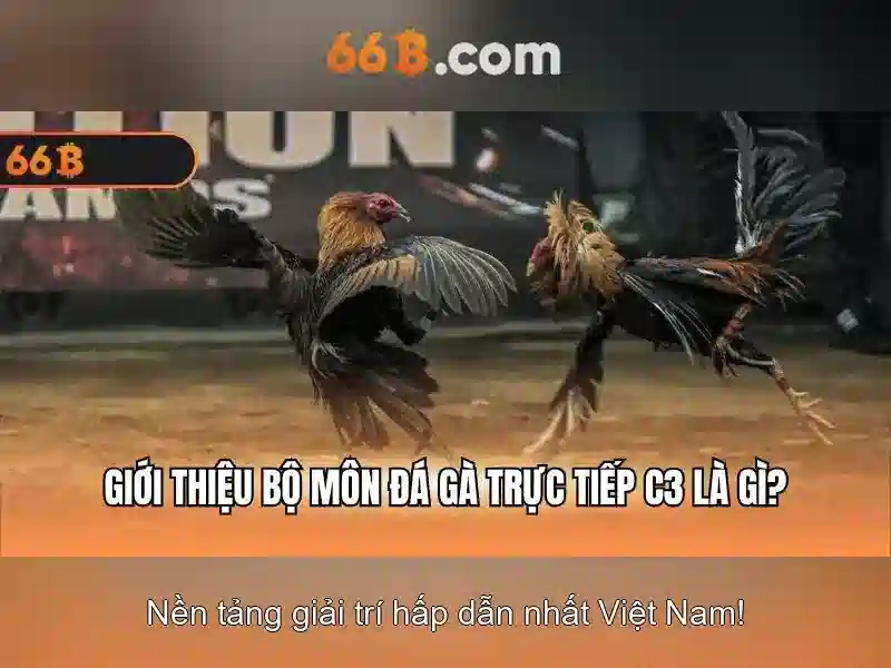 Về mô hình 66B: khám phá sức mạnh và ứng dụng Soi kèo hiệp 1
