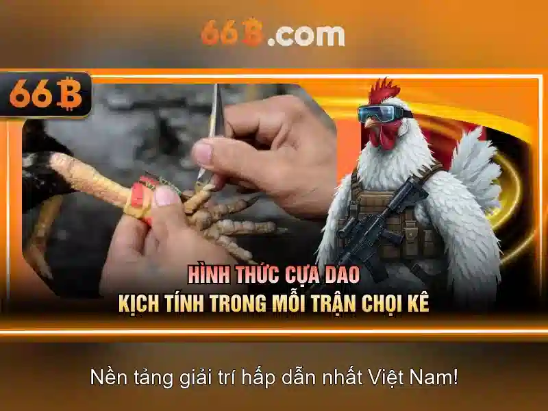 Cấu trúc và tham số