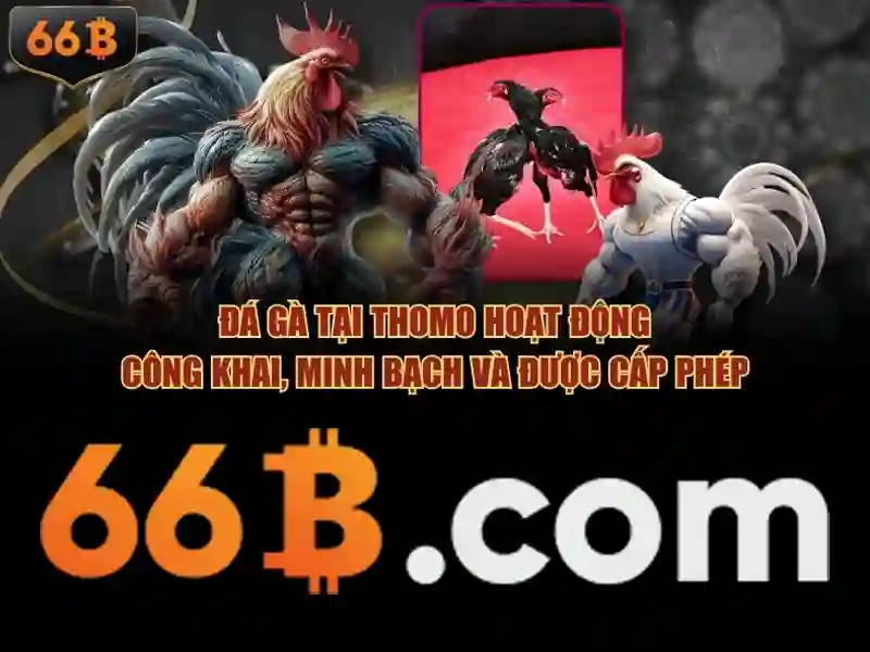 Soi kèo hiệp 1
