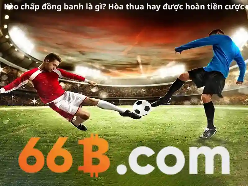 Nguồn gốc và sứ mệnh của 66b bet
