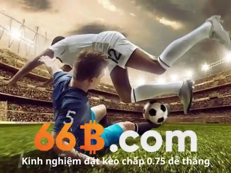 Người chơi đang trải nghiệm game bài trên ứng dụng 66b