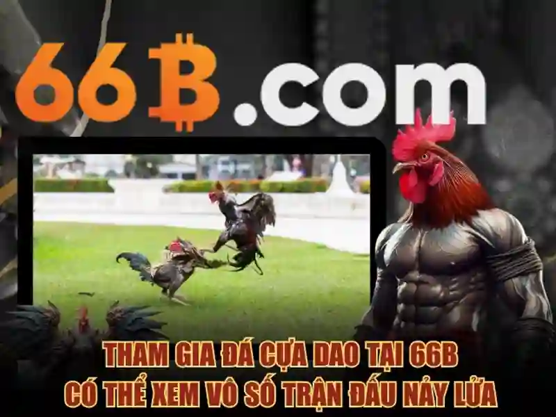 Sản phẩm và dịch vụ chính: ứng dụng thực tế của 66b nguyễn sĩ sách Sản phẩm và dịch vụ chính: ứng dụng thực tế của 66b nguyễn sĩ sách