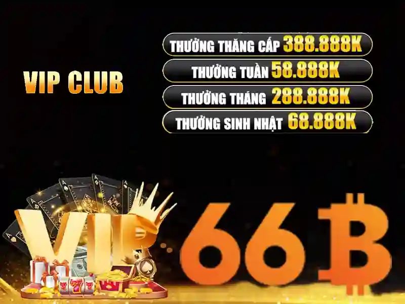 66B là gì và tại sao nó được quan tâm